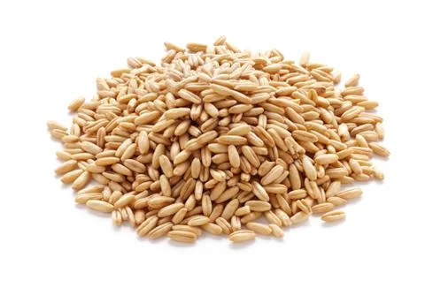 Oat grains Stock Photos