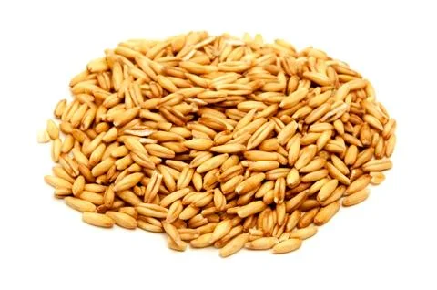 Oat grains Stock Photos