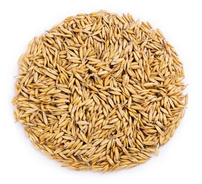 Oat grains Stock Photos