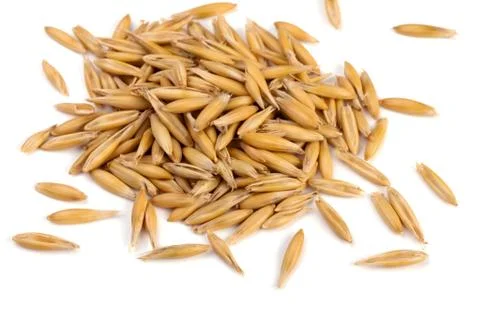 Oat grains Stock Photos