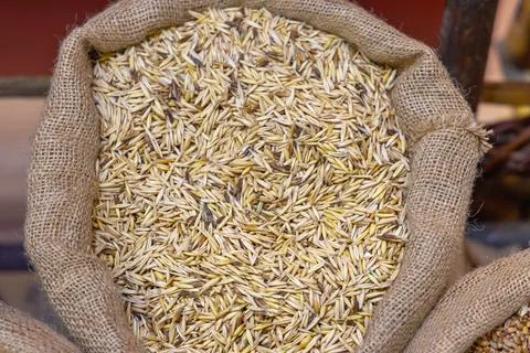 Oat Grains Sack Stock Photos