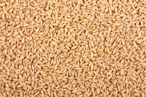 Oat grains texture Stock Photos