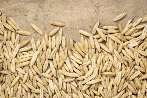 Oat groats background Stock Photos