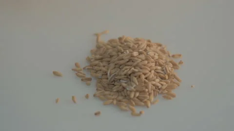 Oat groats on a white background Stock Footage 43239480