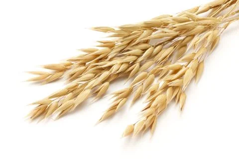 Oat Stock Photos