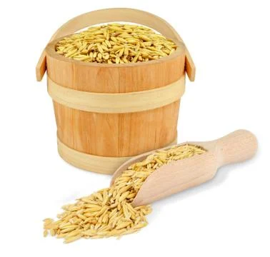 Oat Stock Photos