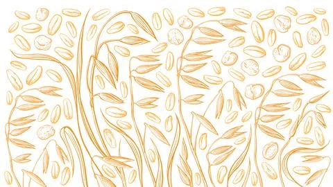 Oat seed, spike flakes background Vector engraving Stock Illustration