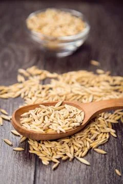 Oat in spoon Stock Photos