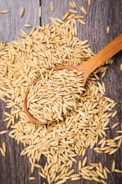 Oat in spoon Stock Photos