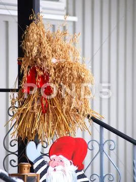 Oat wheat in a bunch Stock Photos