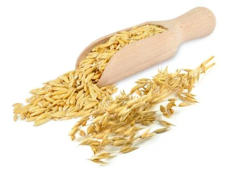 Oat on white background Stock Photos