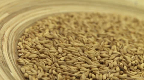 Oatmeal 1 Vídeos de archivo 23264035