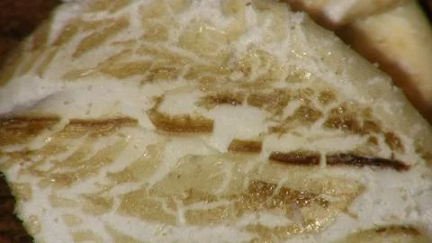 Oatmeal Up Close Stock Photos