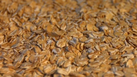 Oatmeal. Slow motion. Close-up. Horizontal pan. Stockbeeldmateriaal 70045434