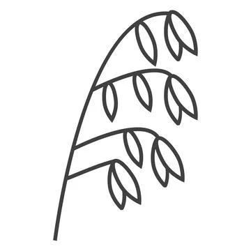 Oatmeal spikelet, grain icon vector. Rye, wheat, oat plant in outline Stock Illustration