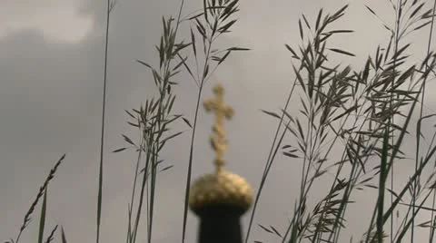 Oats Cross Stock Footage 12049368