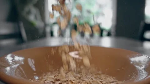 Oats falling in plate Stock Footage 248529576