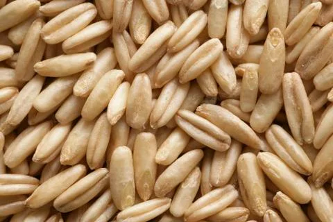 Oats (full-frame) Stock Photos