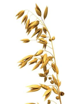 Oats Illustrazione stock