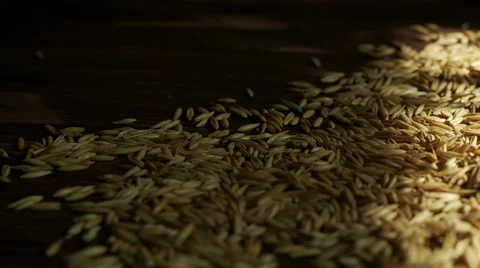 Oats on the wooden background Stock Footage 61845544