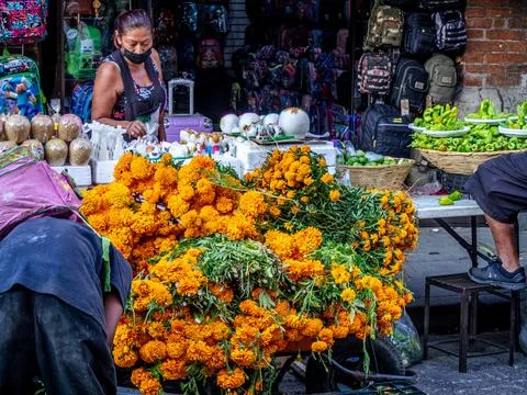 Oaxaca, Mexico Stock Photos