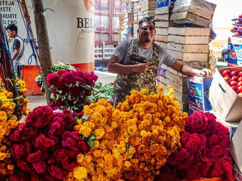Oaxaca, Mexico Stock Photos