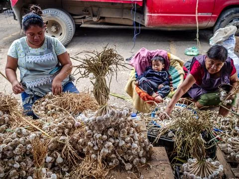 Oaxaca, Mexico Stock Photos