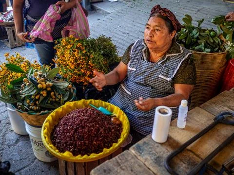 Oaxaca, Mexico Stock Photos