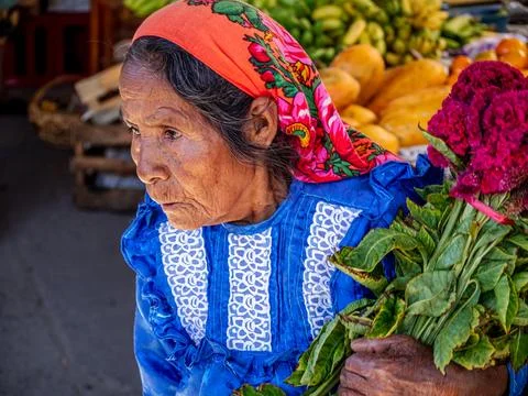 Oaxaca, Mexico Stock Photos