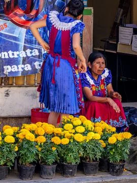 Oaxaca, Mexico Stock Photos