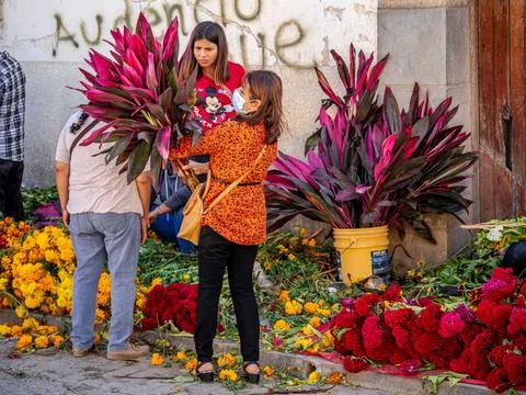 Oaxaca, Mexico Stock Photos