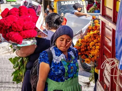 Oaxaca, Mexico Stock Photos