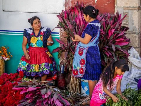 Oaxaca, Mexico Stock Photos