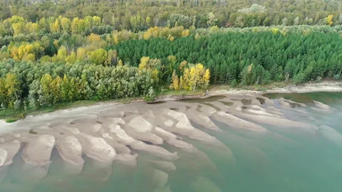 Ob River from a height. Stock Footage 164992782