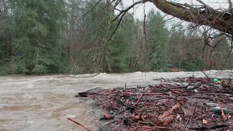 Obed River with debris after spring flooding Stock Footage 231247305