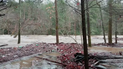 Obed River out of banks Stock Footage 231247297