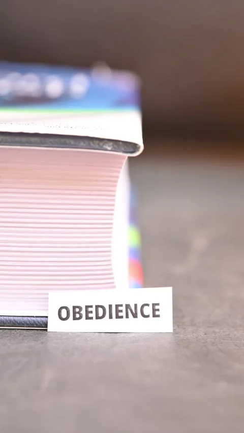 Obedience and Self Discipline Concept with Selective Focus Stock Footage 338315940