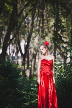 Obedience Foto stock