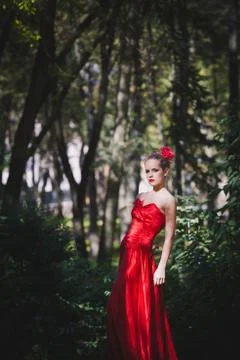 Obedience Foto stock