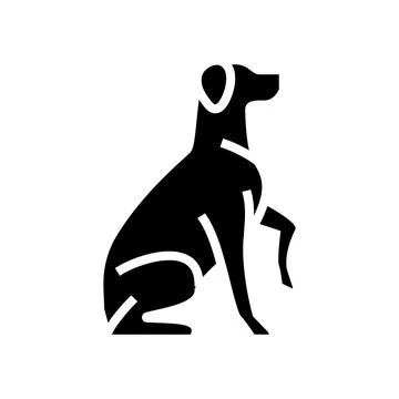 Obedience training dog competition show glyph icon vector illustration Stock Illustration