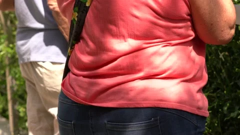 Obese Americans walking through park Stock Footage 136492829