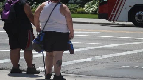 Obese couple 1 Stock Footage 25600591