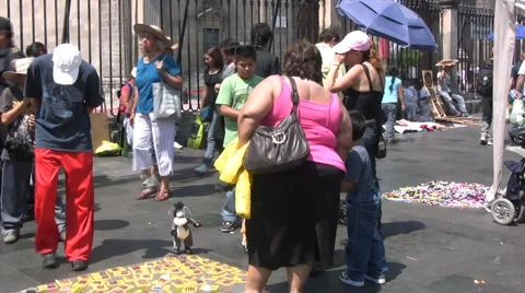 Obesity 스톡 동영상 5102944