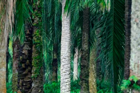 Object and outdoors Stock Photos