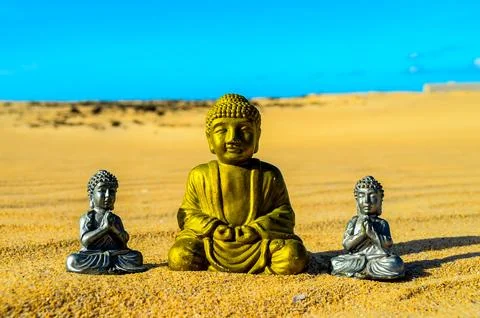 Object in the Dry Desert Stock Photos