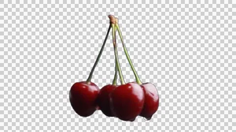 The object of a four of cherries, which revolve around its own axis Stock Footage 52979485