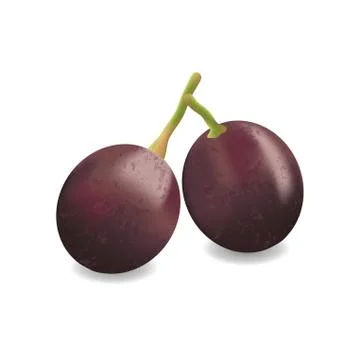 Object fruit grapes vines Stock Illustration