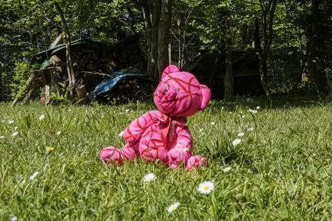 Object of a game Stock Photos