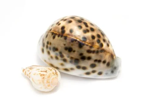 Object isolated Stock Photos