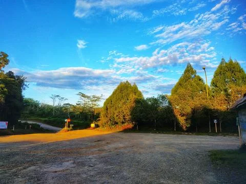Object of mining office yard with wind cypresses and trees Stock Photos